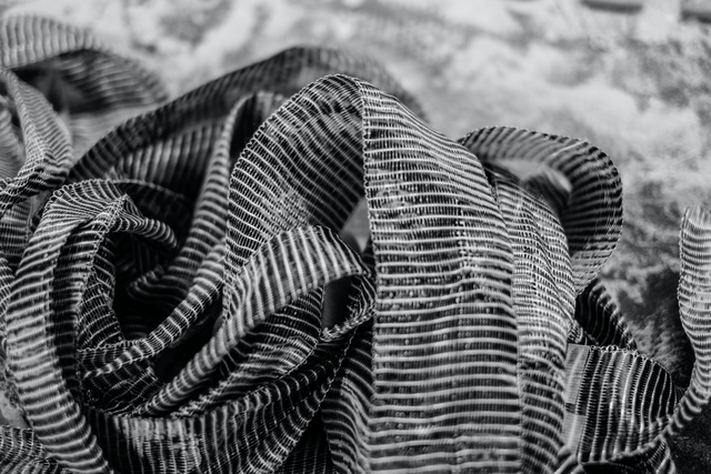 ON FILM: HAYDEN COX FOR HIGHSNOBIETY